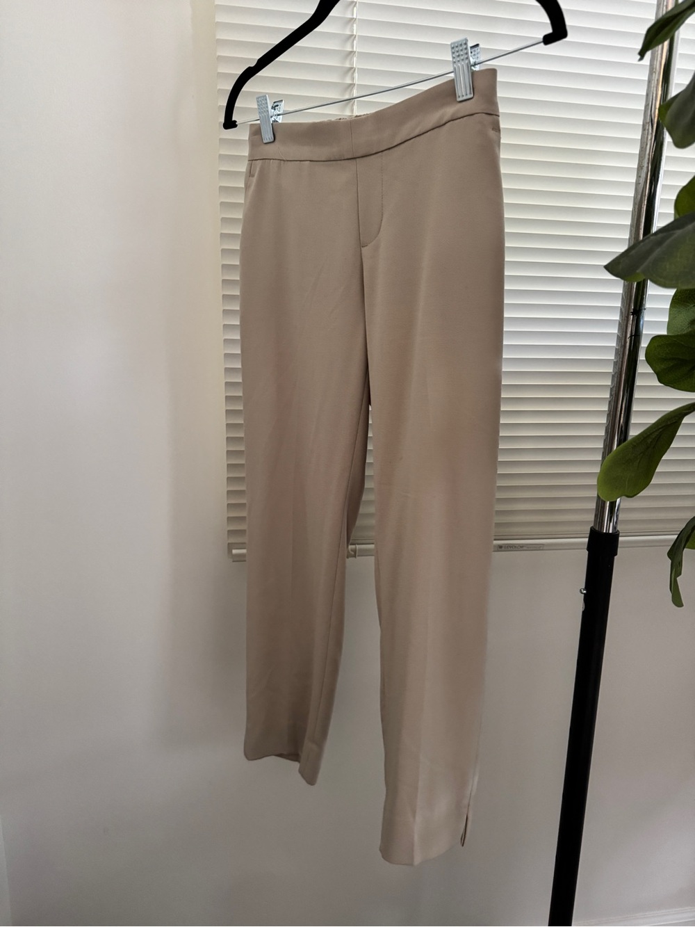 Banana Republic Wide-Leg Pants in Light Taupe